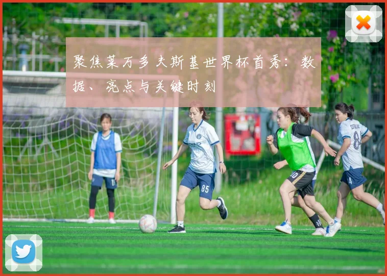 聚焦莱万多夫斯基世界杯首秀：数据、亮点与关键时刻